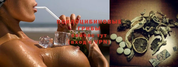 тгк Белокуриха