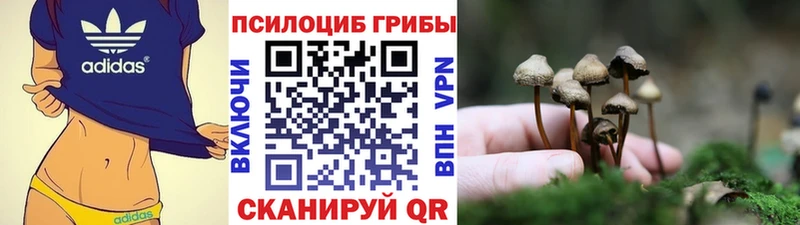 МЕГА ССЫЛКА  Армавир  Галлюциногенные грибы мухоморы 